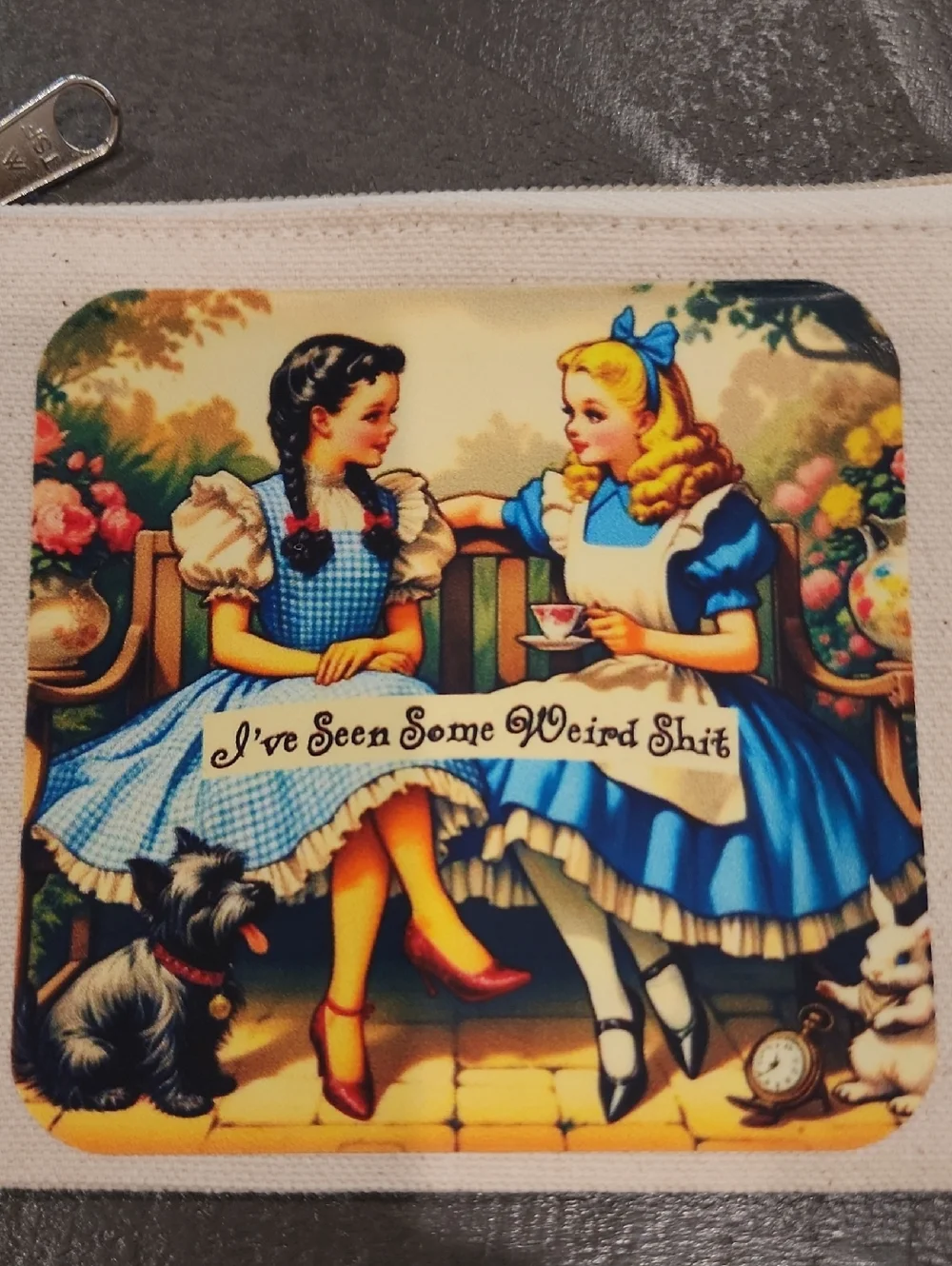 Canvas Pouch – Vintage Alice in Wonderland /Dorothy Wizard Style Cosmetic Bag